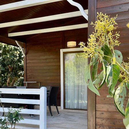Aida Hotel Çıralı Eksteriør bilde