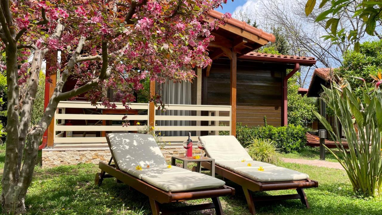 Aida Hotel Çıralı Eksteriør bilde