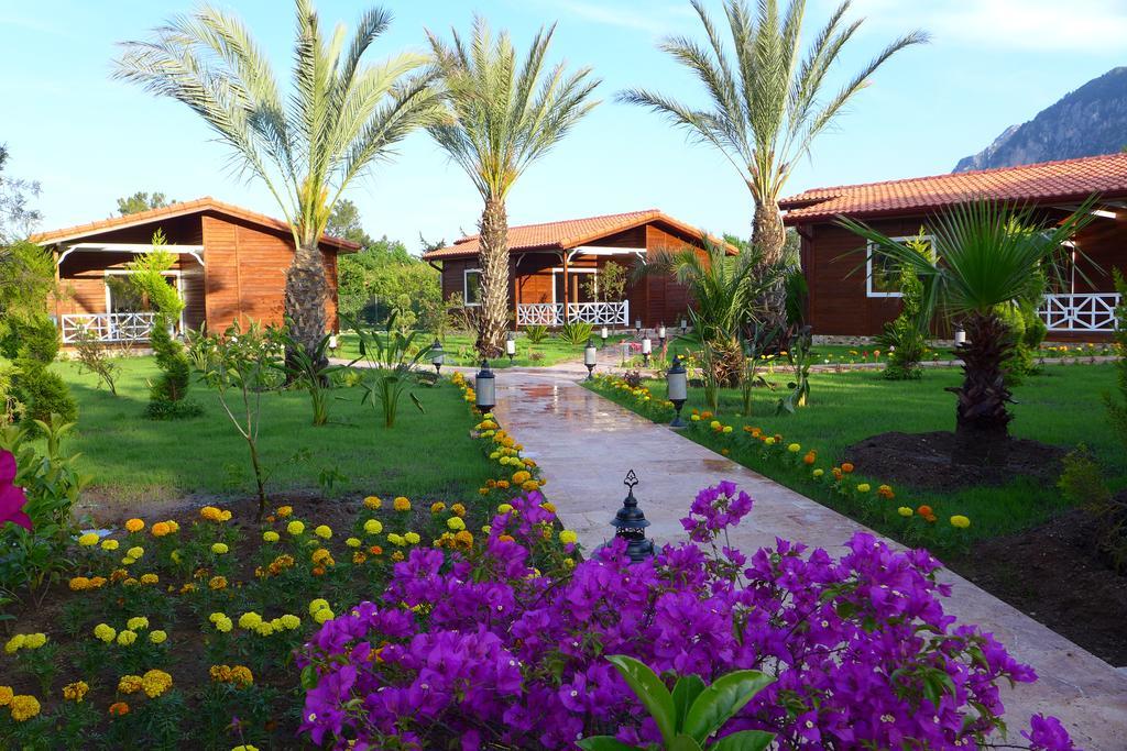 Aida Hotel Çıralı Rom bilde