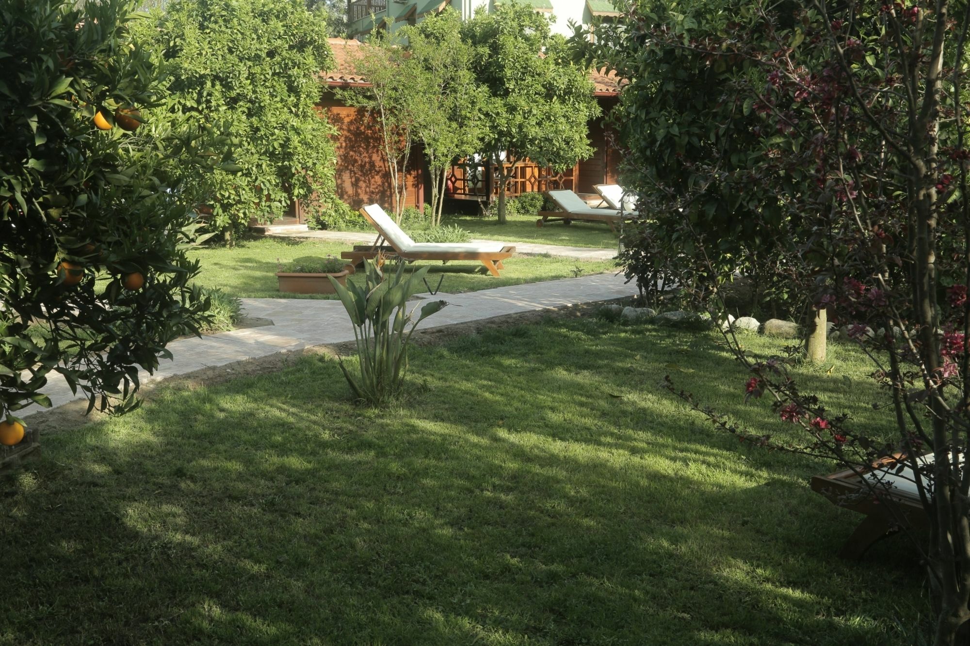 Aida Hotel Çıralı Eksteriør bilde